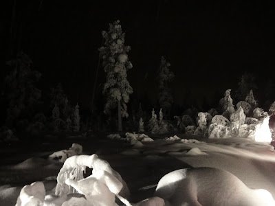 まるで気分はリアルディズニーランド。