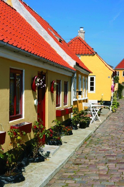 写真:skagen yellow2 写真:skagen yellow2