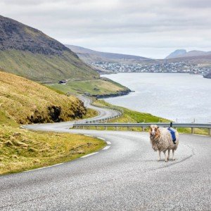 ヒュゲリライターズコラム
