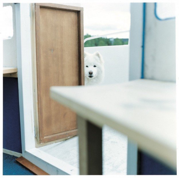 かくたさん記事用写真_170309_0005