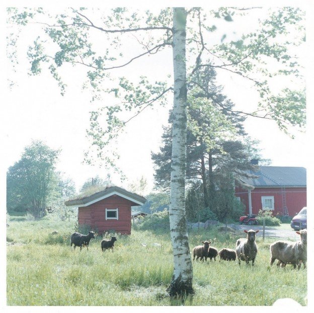 かくたさん記事用写真_170309_0001