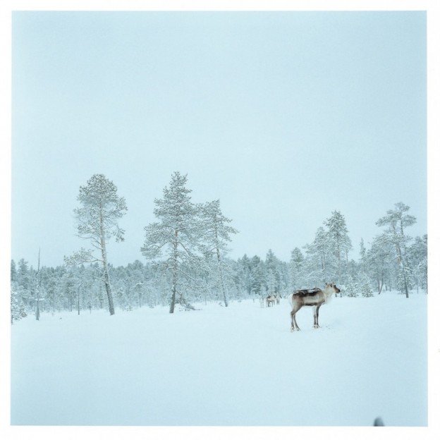 かくたさん記事用写真_170309_0006